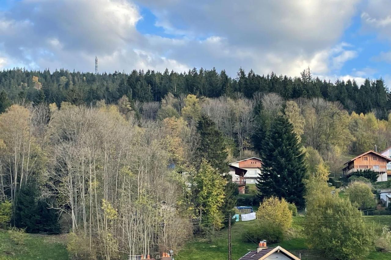 Bright Nest With Mountain View In Gérardmer Екстериор снимка